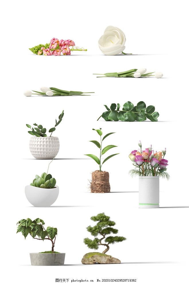室内盆栽花植物png素材图片 设计案例 广告设计 图行天下素材网