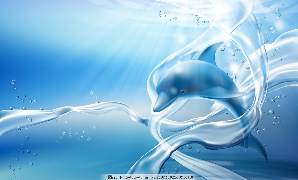 海豚背景图片 海洋生物 生物世界 图行天下素材网