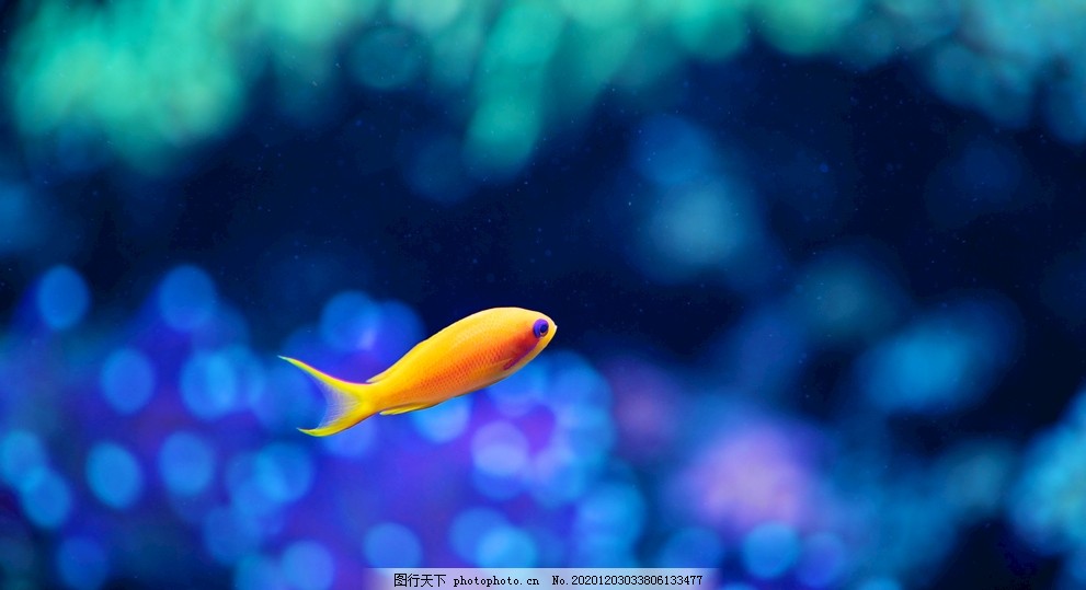 海底壁纸图片 其他图片素材 其他 图行天下素材网