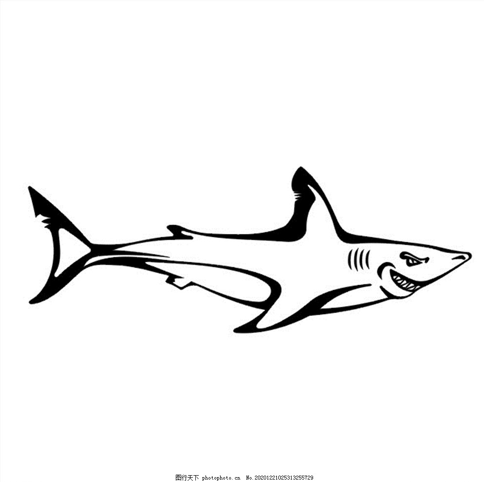 鲨鱼图案素材图片_动物昆虫_自然风景-图行天下素材网