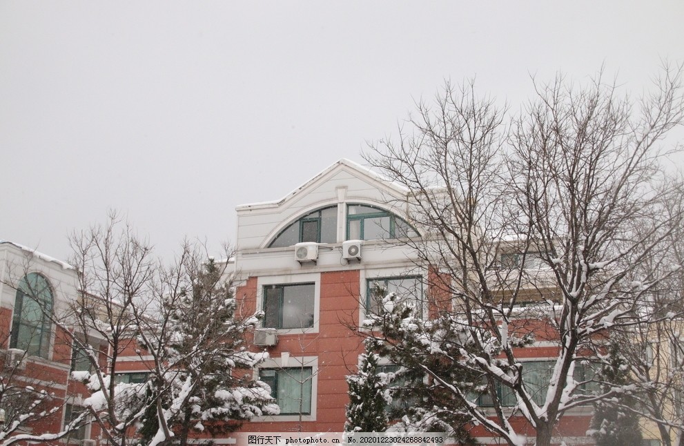 别墅雪景图片,冬季别墅,冰雪覆盖,冬天的城市,建筑,霜,冻