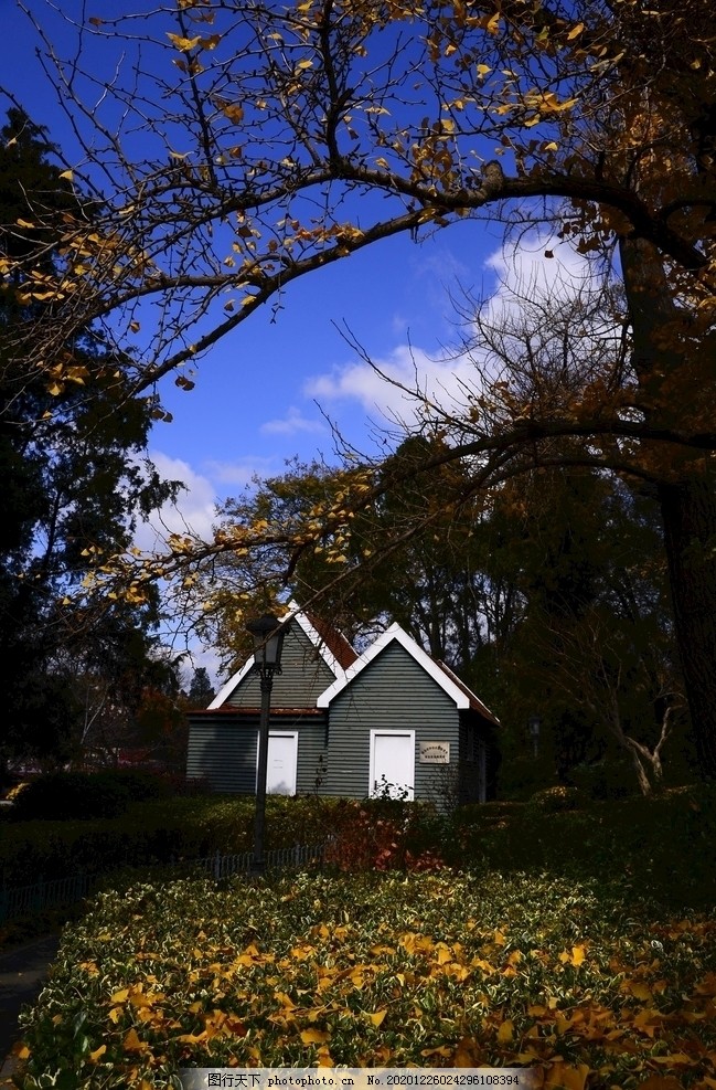 秋天的院子图片,落叶,小屋,蓝天,摄影,自然景观,建筑景观