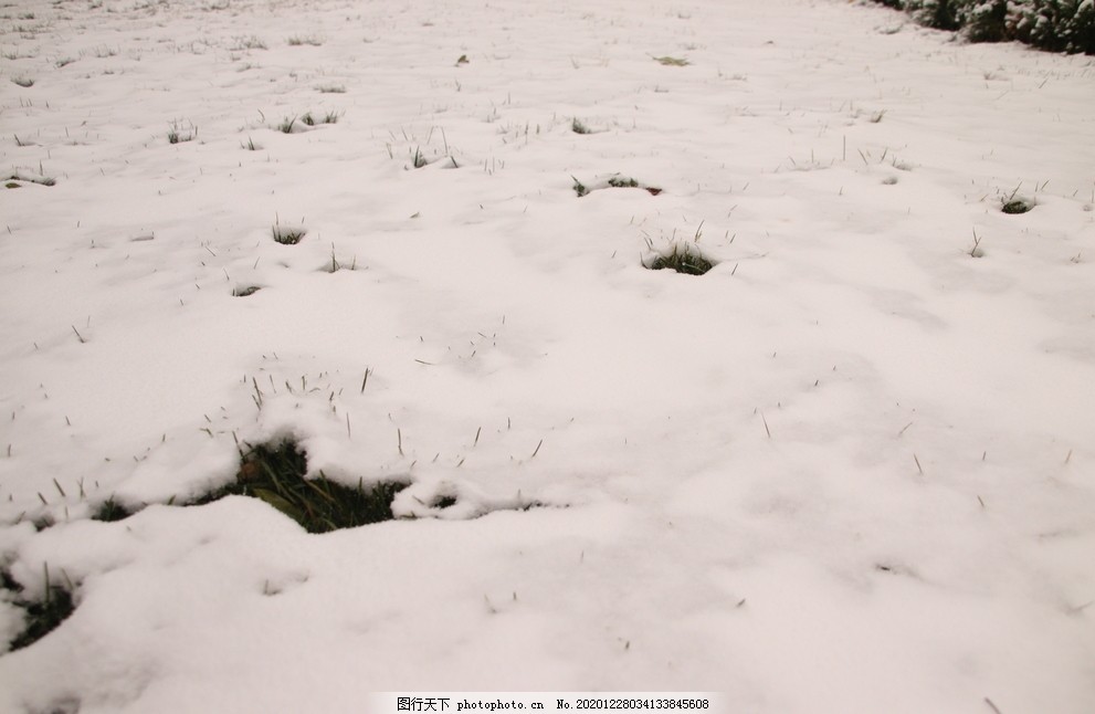 雪地图片,草坪,草地,白雪,积雪,背景,素材